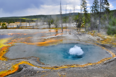 Source hydrothermale - Black Sand basin (Yellowstone NP, USA)